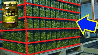 How are Pickles Made Pickle Factory Processing How Pickle is Made How are pickles manufactured [upl. by Abocaj]