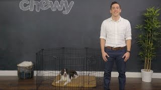 Frisco Exercise Pen for Dogs  Chewy [upl. by Aleahcim]