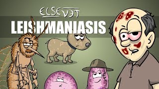 Leishmaniasis  Plain and Simple [upl. by Htnicayh]