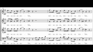 Agnus Dei  Mass in G major DV167  Schubert [upl. by Enyahc]