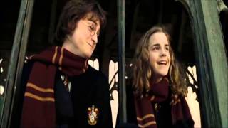 Harry Potter And The Deathly Hallows Part 1  Dance Scene HD [upl. by Mayer]