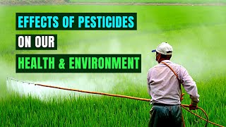 Devastating Effects of Pesticides on Our Health and Environment [upl. by Guimond]