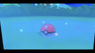 Finding and Catching Female Combee Pokémon Y [upl. by Celestina]