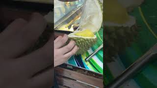 How Many Durians Are Inside Surprise Durian Fruit Count [upl. by Warms966]