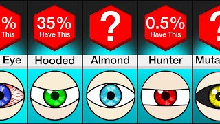 Comparison Different Types Of Eyes [upl. by Beatrix148]