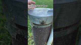 Don’t Ignore Damaged Wiring in Your Well Cap [upl. by Eatnwahs]