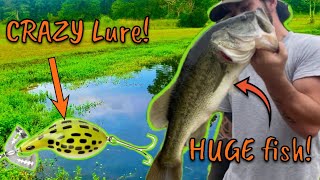 Choose 3 Lures To WIN Fishing Lure Draft Challenge [upl. by Idonah6]