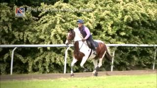 British Eventing Training 3 Speed training [upl. by Oina412]