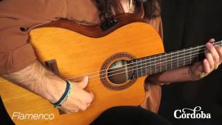 Cordoba Guitars  C5CE Nylon String Guitar [upl. by Amye]