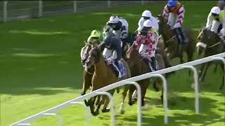 2024 UK YORK Ebor Handicap [upl. by Onez528]