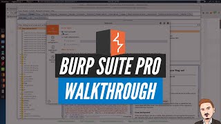 Burp Suite Pro Walkthrough [upl. by Ysnil]