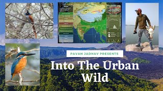 Into the Urban Wild of Nanded Maharashtra Episode 01 [upl. by Ialokin]