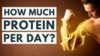 How Much Protein Should You Eat Per Day [upl. by Lerret]