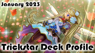 Trickstar Deck Profile January 2023 [upl. by Lorollas]