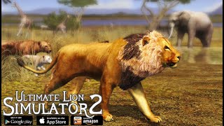 Ultimate Lion Simulator 2  Life Of Lion  AndroidiOS  Gameplay Part 1 [upl. by Eylsel885]