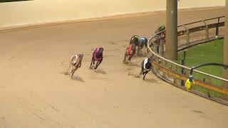 Rockhampton06112024Race5 [upl. by Ivanah957]