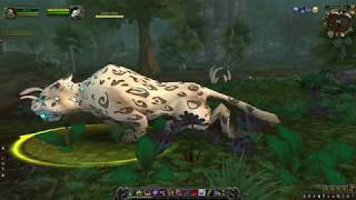 LoqueNahak WoW Rare Hunters Pet Guide 2019 still the same in 2023 patch 1005 [upl. by Heshum770]