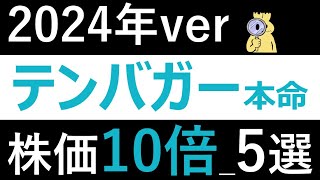 【2024年テンバガー候補】新NISA成長投資枠で仕込みたい大化け候補5選をご紹介！ [upl. by Teilo]