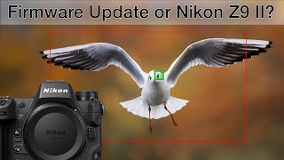 NIKON STRIKES BACK Nikon Z9 autofocus update [upl. by Crespo]