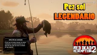 Pez sol legendario  Guia pesca RED DEAD REDEMPTION 2 [upl. by Halvaard]