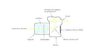 Comment fonctionne un appareil photo numérique [upl. by Suiramaj]