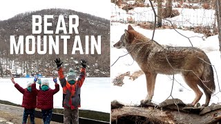 Bear Mountain State Park New York 2021  Exploring Bear Mountain Inn Zoo amp Ice Rink [upl. by Enedan638]