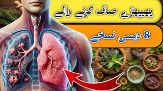 Top 8 Herbs for Lung Health Clearing Mucus COPD and Killing Viruses 👨🏻‍⚕DrKashif Medmood [upl. by Mahon175]