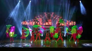 Sanskar School Performance in DFest 2024 [upl. by Neros]