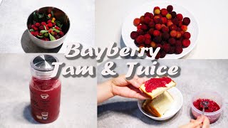 Bayberry juice and jam bayberry [upl. by Inava723]