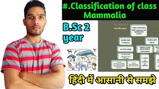 Classification of Class Mammalia  BSc 3rd Year Zoology 5th Semester 2nd paper [upl. by Seumas919]