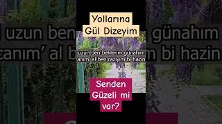 Senden Güzeli mi var karaoke  Emre FEL [upl. by Nannette]