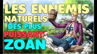 LES ENNEMIS NATURELS DES PLUS PUISSANTS ZOAN  ONE PIECE 😱 [upl. by Lemire]