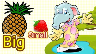 Big and Small  Basic Sizes Kindergarten Lessons  Math for Kids [upl. by Bickart]