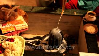 Pouring water on phallus Hindu pandit recites mantra while performing Maha Abhishek [upl. by Eveneg729]