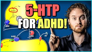 5 HTP Benefits For ADHD Very Interesting Study [upl. by Salahi]