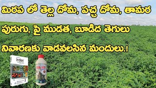 SLR 525 Insecticide Uses Telugu SLR 525 insecticide in telugu  Nagarjuna Index fungicide in Telugu [upl. by Hanson]