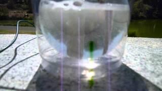 Photocatalytic Water Splitting [upl. by Mariette]