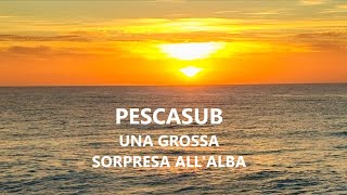 Pescasub UNA GROSSA SORPRESA ALL ALBA [upl. by Rese]