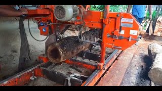 WoodMizer LT 15 saw mill  Incredible Homemade Lumber  satisfying video [upl. by Attenev]