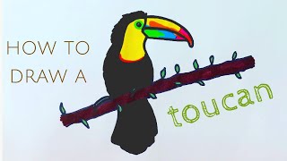 Beginners  How to draw a keelbilled toucan [upl. by Assereht]