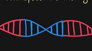 Introduction to Transposons [upl. by Ebberta]