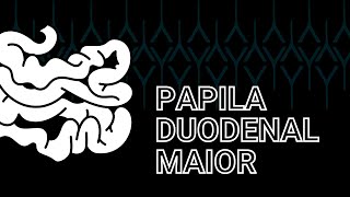 Papila duodenal maior [upl. by Maccarone419]