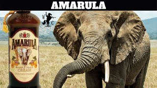 Amarula Cream Marula Fruit Liqueur Review [upl. by Sanyu982]