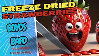 Strawberries Boyds BAFD Blue Alpine Freeze Drying [upl. by Grete]