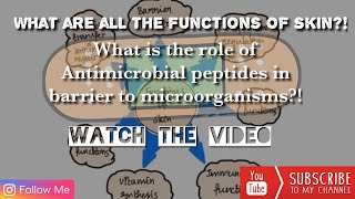 FUNCTIONS OF SKIN Barrier thermoregulation innate immunity and other functions [upl. by Gennie]