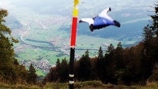 Alexander Polli Wingsuit Downhill Gate Bashing Precision Of Human Flight [upl. by Annasor]