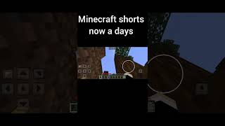 Minecraft days😂🤣ShortsShortsviral [upl. by Menard]