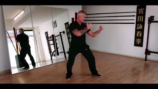 Practical Wing Chun  Chum Kiu Sifu Benno Wai [upl. by Yrrag]