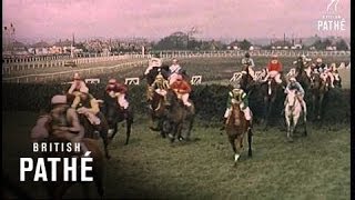 Grand National Long Version 1962 [upl. by Jamnes]