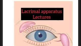 Lacrimal apparatus lectures part 5 Eyelectures eyelectures lacrimalgland jatoi [upl. by Yelrac]